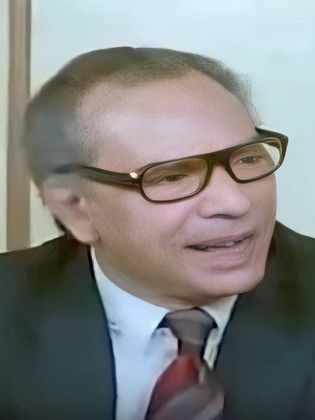 أحمد راضي