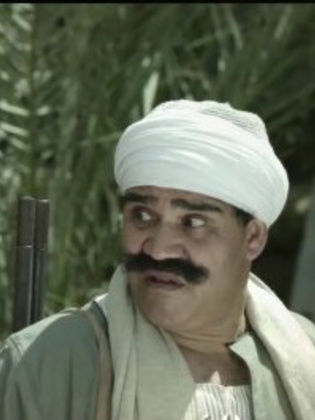 سيد الشرويدي