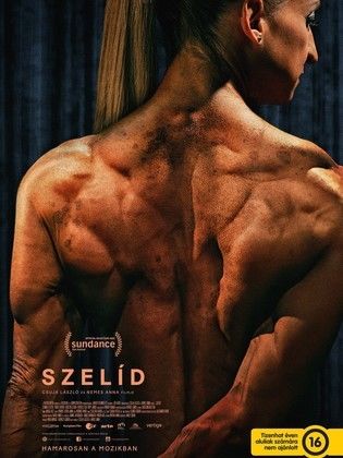 فيلم Gentle 2022 - مشاهدة اونلاين ، فيديو ، إعلان